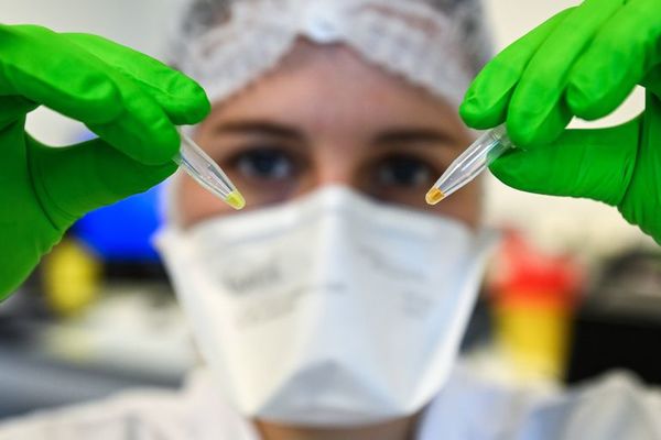 El covid-19, responsable de 200.000 muertes directas e indirectas en una veintena de países - Mundo - ABC Color