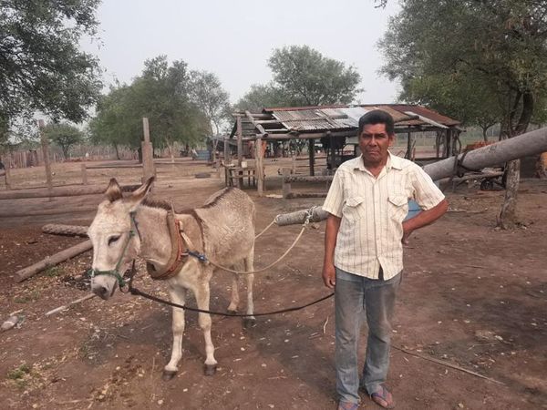Familia Ishir clama ayuda para trabajar en el Chaco - Nacionales - ABC Color