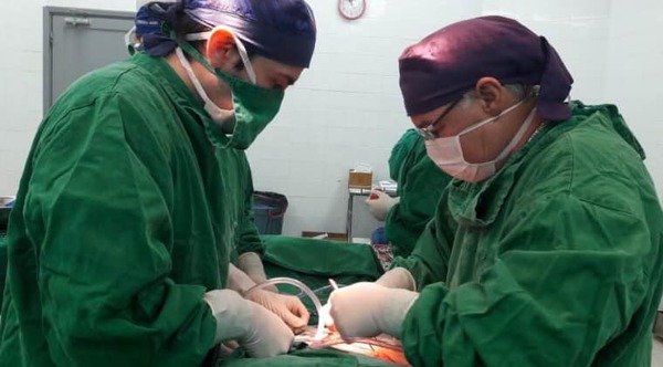 Un solo donante de órganos puede beneficiar a 20 personas | Noticias Paraguay