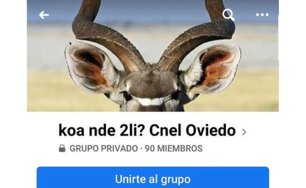 Casería de cuernos “Kóa nde 2li?” llegó a Coronel Oviedo - Noticiero Paraguay