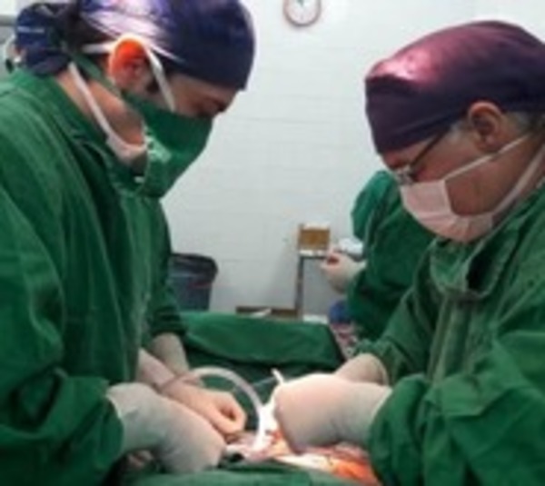 Pacientes con covid-19 no pueden donar órganos - Paraguay.com