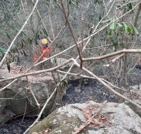 Bomberos y vecinos controlan incendio en el cerro Bogarín - Nacionales - ABC Color