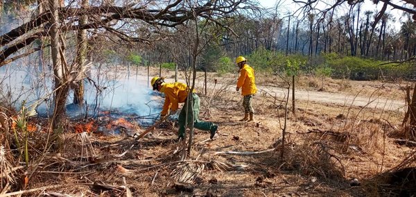 Cifras actualizadas, municipios más afectados y todos los focos de calor de las últimas horas - Megacadena — Últimas Noticias de Paraguay