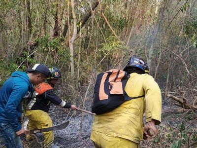 Bomberos controlan nuevos focos de incendio en San Joaquín