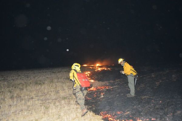 Rebrotan focos de incendio en el San Rafael - Nacionales - ABC Color