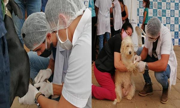 Realizan jornada de vacunación para perros y gatos – Prensa 5