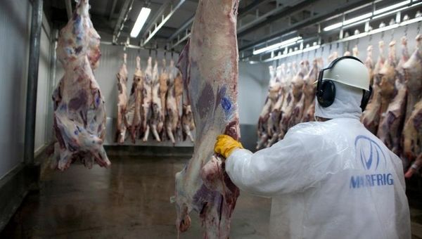 Marfrig adelanta su proyecto de construir un frigorífico en Paraguay y evalúa su ubicación