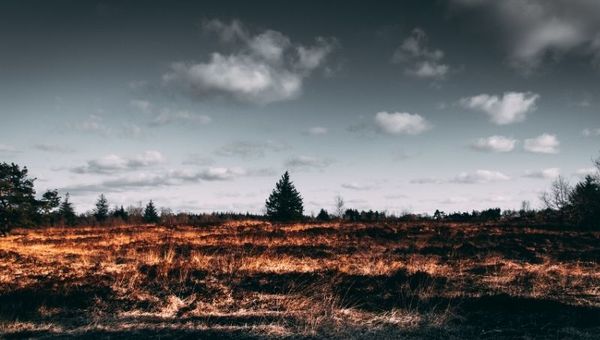 Deforestación e incendios de la cuenca amazónica intensificarían la sequía regional