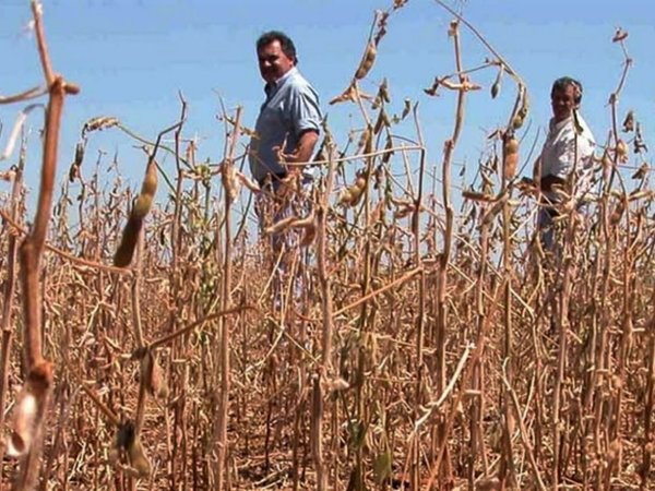 Ansiada lluvia alienta a productores de soja