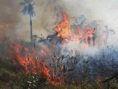 Hay nuevos focos de incendios en San Joaquín, Caaguazú