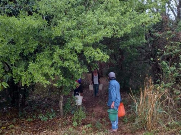 Dramática situación de familias rurales en San Pedro del Paraná