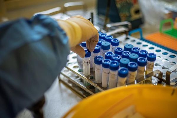 Brasil creará un banco de datos con información genética de 100.000 personas - Ciencia - ABC Color