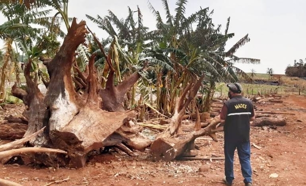HOY / Constatan daño ambiental en una estancia en Corpus Christi