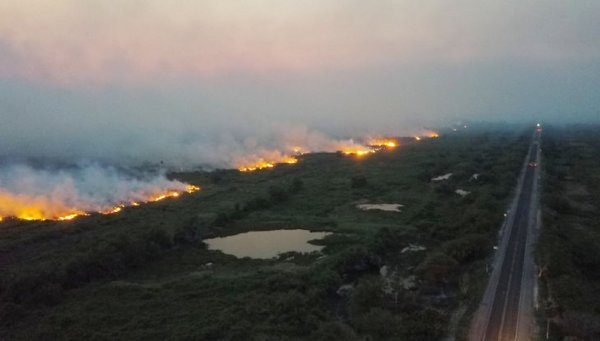 El Pantanal brasileño registra más de 2.500 incendios en tan solo 14 días - ADN Paraguayo