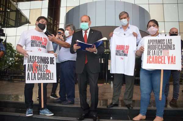 Proponen penas de ocho años de cárcel para casos "muy graves" de maltrato animal - ADN Paraguayo