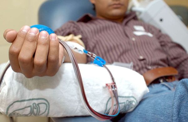 Instan a empresarios a otorgar permisos laborales para que se acuda a donar plasma  - Nacionales - ABC Color