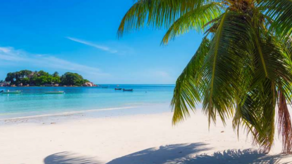 El Caribe se perfila como predilecto de la era post Covid