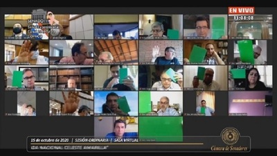 Senado aprueba declaración para que Diputados revea caso Amarilla