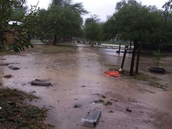 La lluvia caída en el Chaco trajo   tranquilidad tras 7 meses de sequía