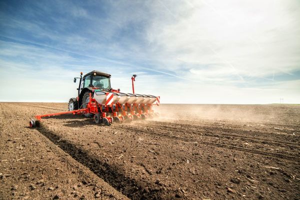 Lluvias trajeron alivio al campo y productores alistan inicio de siembra de soja - MarketData