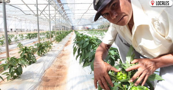 En Día Mundial de la Alimentación instan al Paraguay a promover dietas más asequibles y saludables