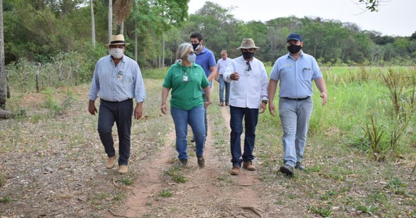 La Nación / Verifican ejecución de proyectos productivos en Misiones