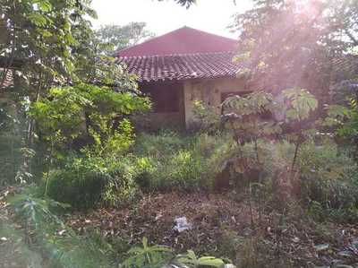 Intervienen un predio en estado de abandono en Asunción