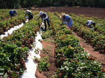 Misiones: Verifican proyectos enfocados en seguridad alimentaria de familias rurales