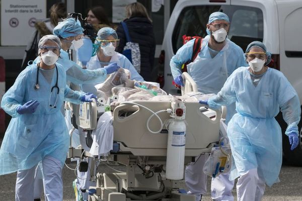 Perseguir la inmunidad colectiva es un peligroso espejismo, según científicos - Ciencia - ABC Color
