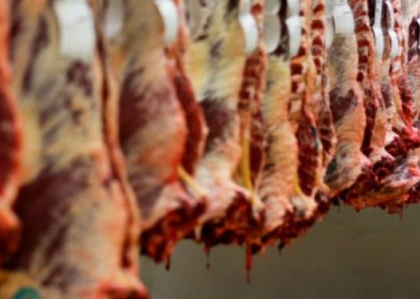 Exportaciones globales de carne bovina crecerían 3% en 2021