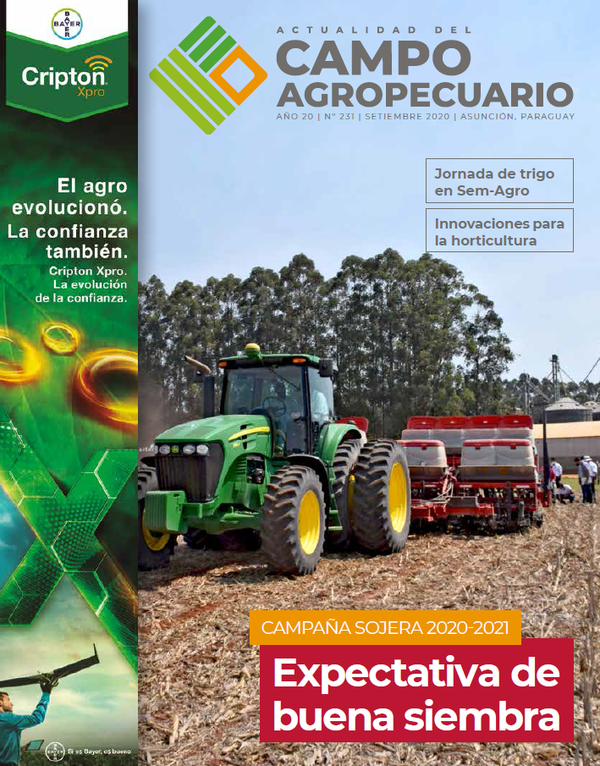 Fino margen para acertar en las decisiones