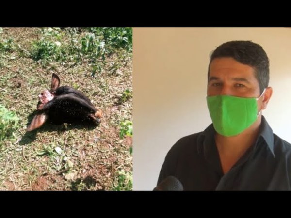 COMUNICADOR FUE VÍCTIMA DE ABIGEOS Y AHORA BUSCARÁ OTRO RUBRO