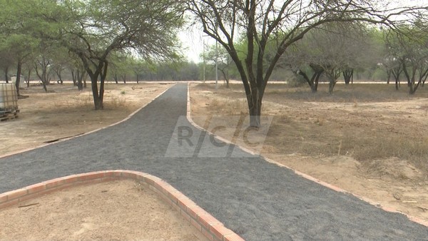 Neuland: Obras están paradas por falta de cemento