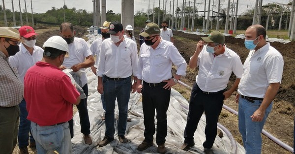 La Nación / Titular del MAG verificó producción de abono orgánico en planta de Petropar