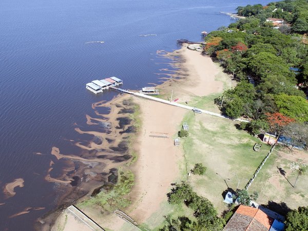 Alentadora depuración en humedales de la cuenca del lago