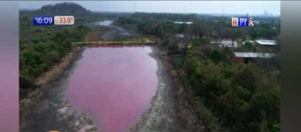 ¡Impotencia! La Laguna Cerro se está secando | Noticias Paraguay