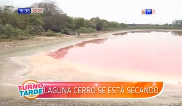Laguna Cerro está a punto de desaparecer ante pasividad de autoridades