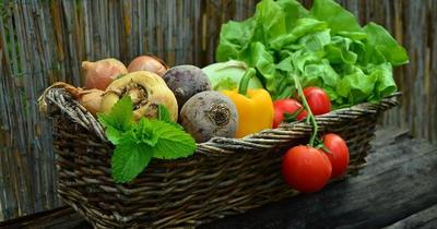 Día Mundial de la Alimentación y Nutricionista: Algunos tips para cuidar la salud