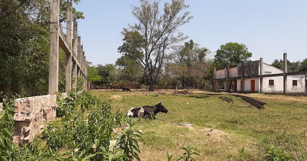 La Nación / Lo que faltaba: denuncian un polideportivo fantasma en Guairá