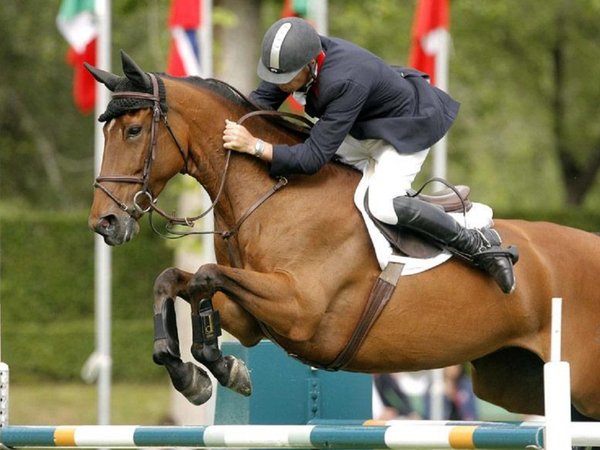 Adolescentes utilizados como jinetes fueron rescatados y protegidos