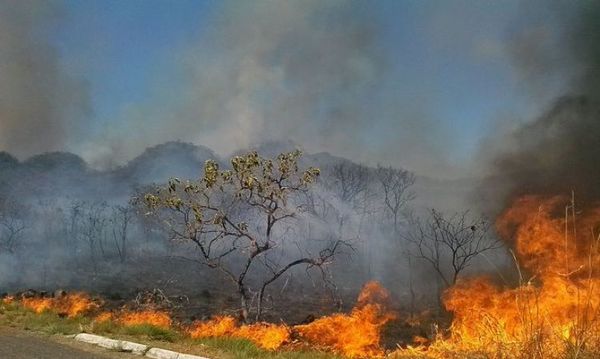 En 15 días, Amazonía tiene más fuego que octubre de 2018 y 2019