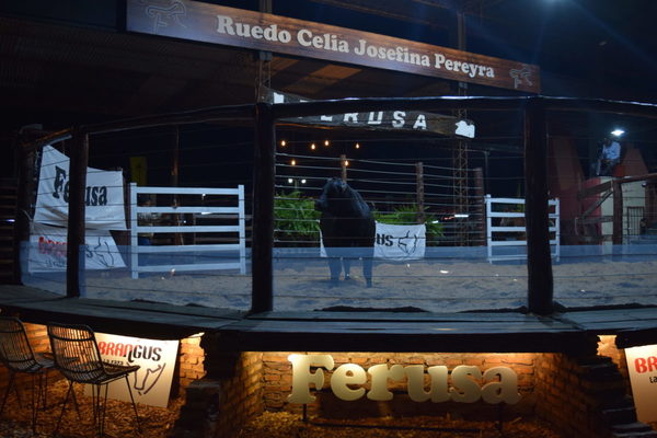 Con 100% de ventas, los Brangus a campo se valorizaron en el ruedo Celia Josefina Pereyra