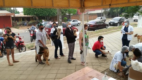 Realizan jornada de vacunación a peluditos para prevenir la rabia » Ñanduti