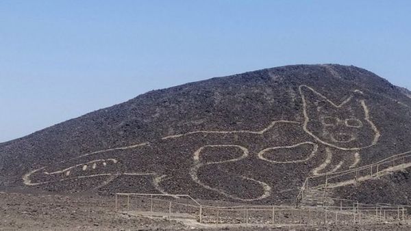 Descubren geoglifo en forma de felino en la Pampa de Nasca, Perú