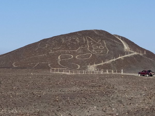 Un gatito de 37 metros, nueva figura descubierta entre geoglifos de Nazca