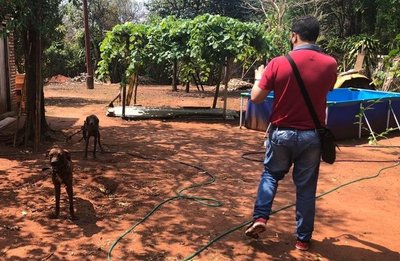 Rescatan a dos perros abandonados en Itá | Noticias Paraguay