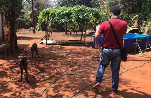 Rescatan a dos perros abandonados en Itá | Noticias Paraguay