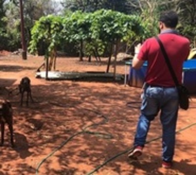 Intervienen vivienda donde abandonaron dos perros - Paraguay.com