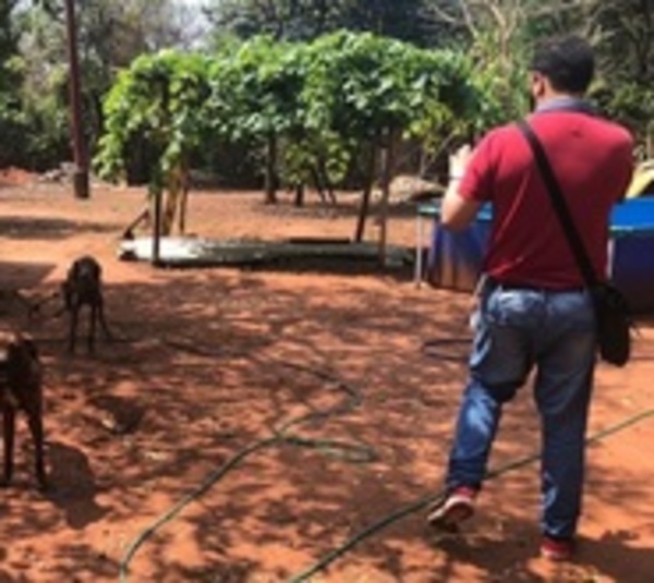 Intervienen vivienda donde abandonaron dos perros - Paraguay.com