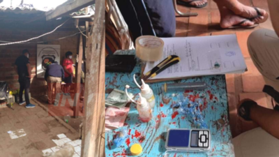 TRES APREHENDIDOS POR SUP. TRÁFICO DE COCAÍNA EN ENCARNACIÓN 